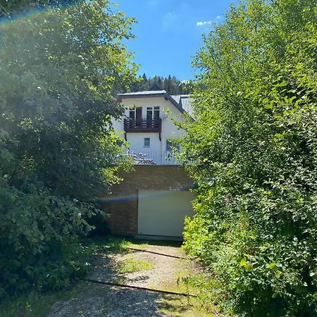 アパート Labska スピンドレルフ・ムリン